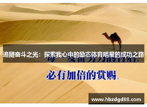 追随奋斗之光：探索我心中的励志体育明星的成功之路